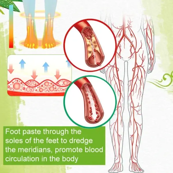 Meridian Detox Foot Patch