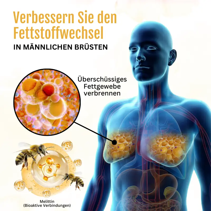 ThermoFest Bienengift Gynäkomastie-Öl - Image 2