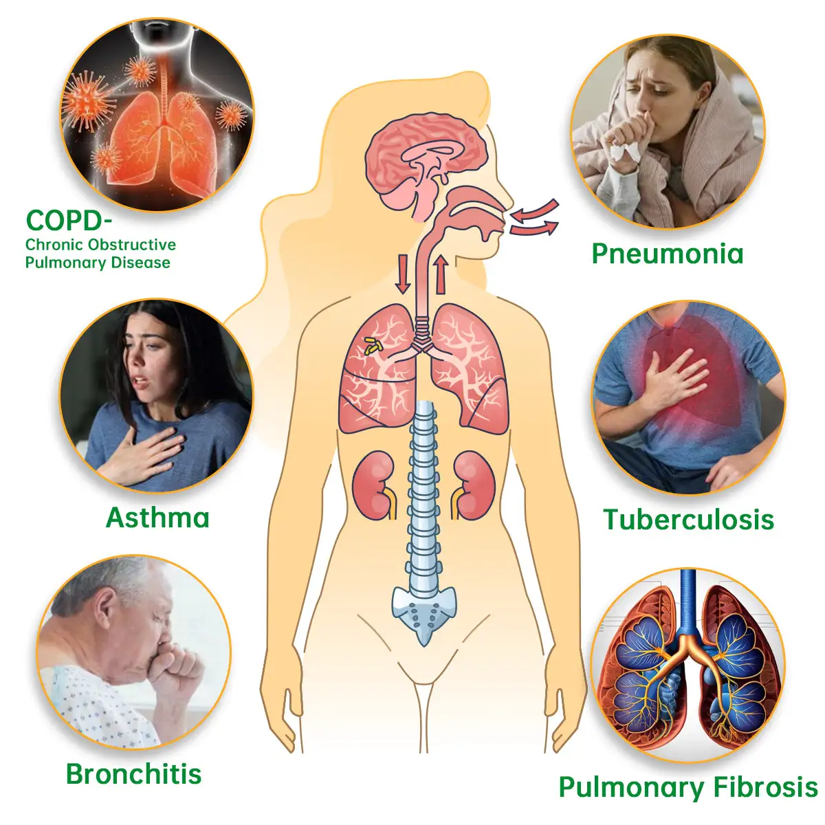 Lung Mucus Cleansing Inhaler - Image 3