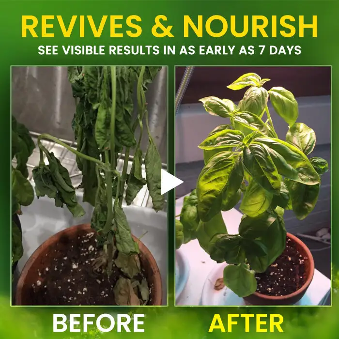 2 in 1 Vita-Enzyme Solution Internally Repairs & Nourishes for Vibrant Leaves - Image 5