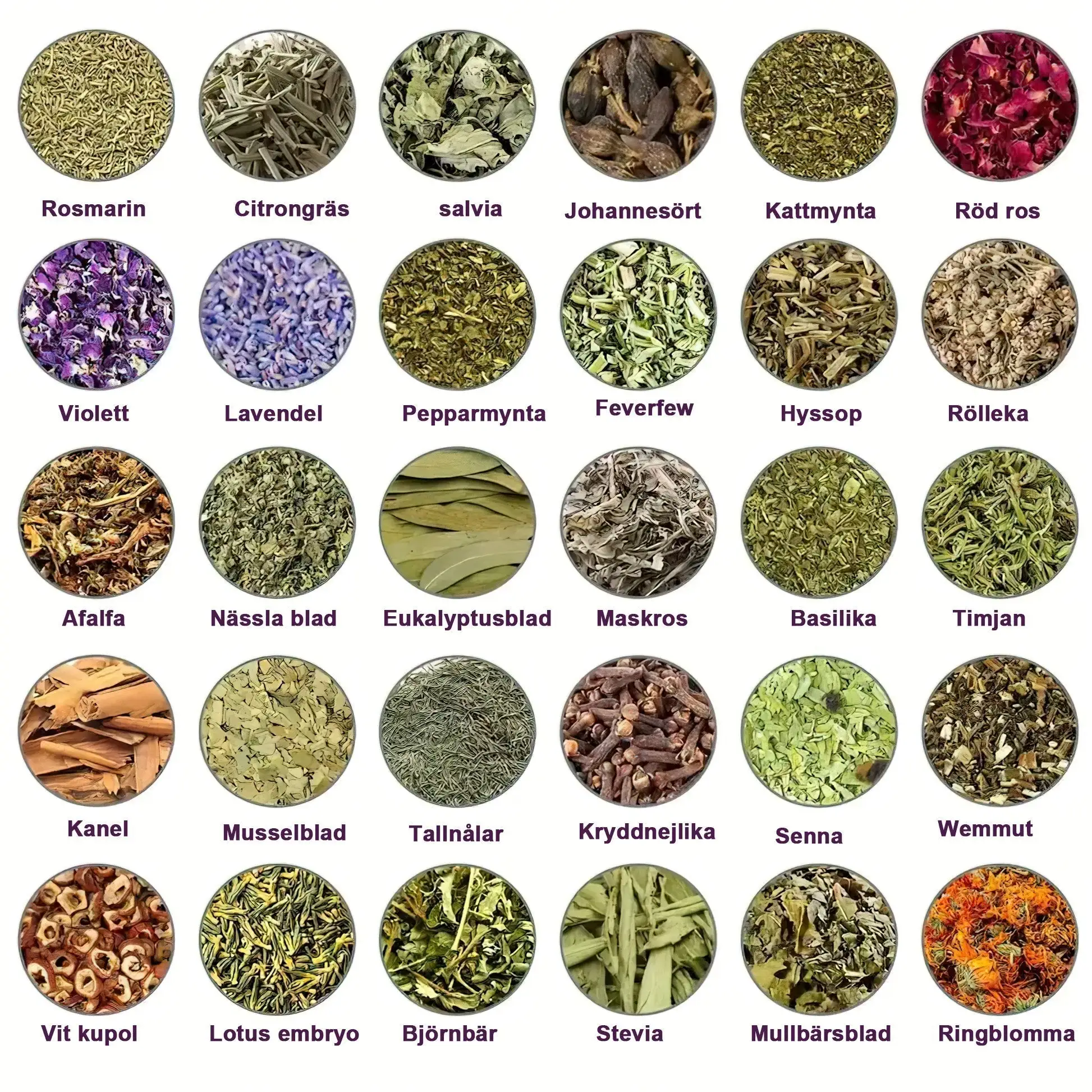 Lymphatic Drainage Foot Bath for Weight Loss - Image 14