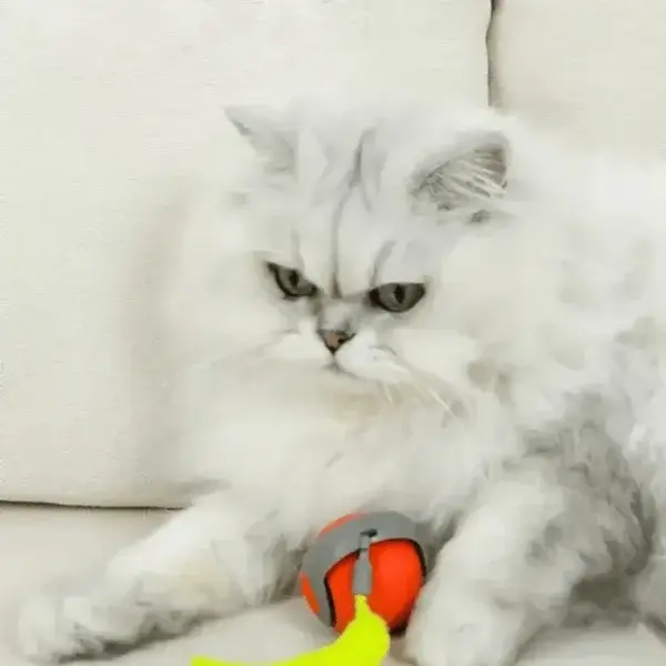 SPEEDY TAIL 2.0 - Image 8