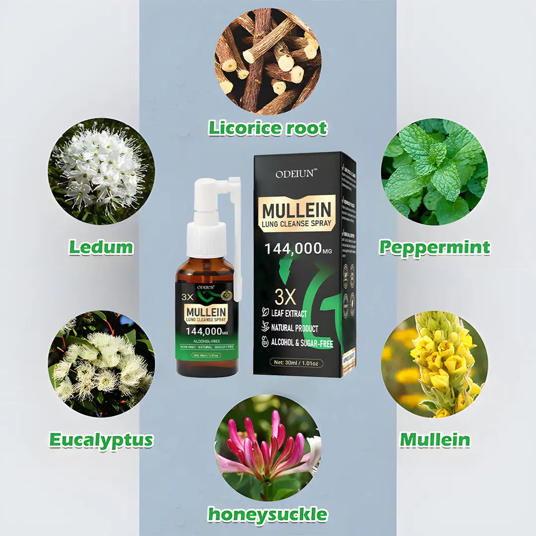3X Concentrated Mullein Lung Cleanse Spray — Advanced Respiratory Detox & Clear Breathing - Image 4