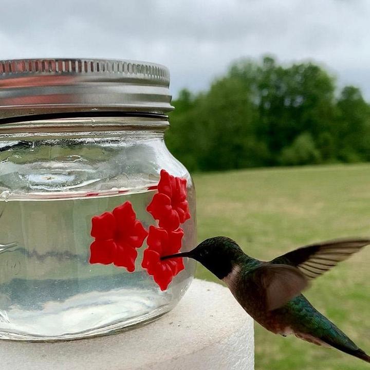 Beautiful Hummingbird Feeder With Three Ports - Image 5
