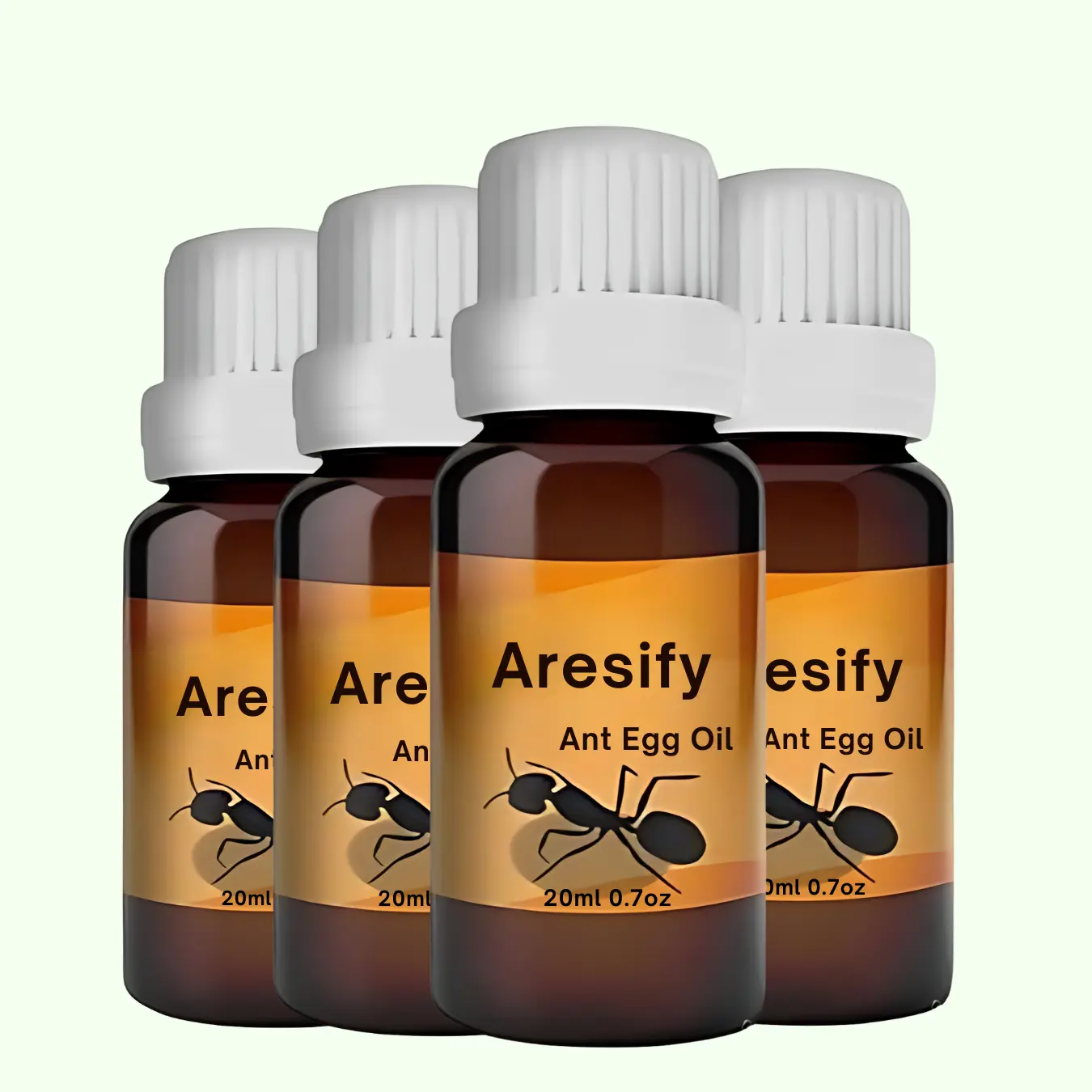ANT EGG OIL - Image 6