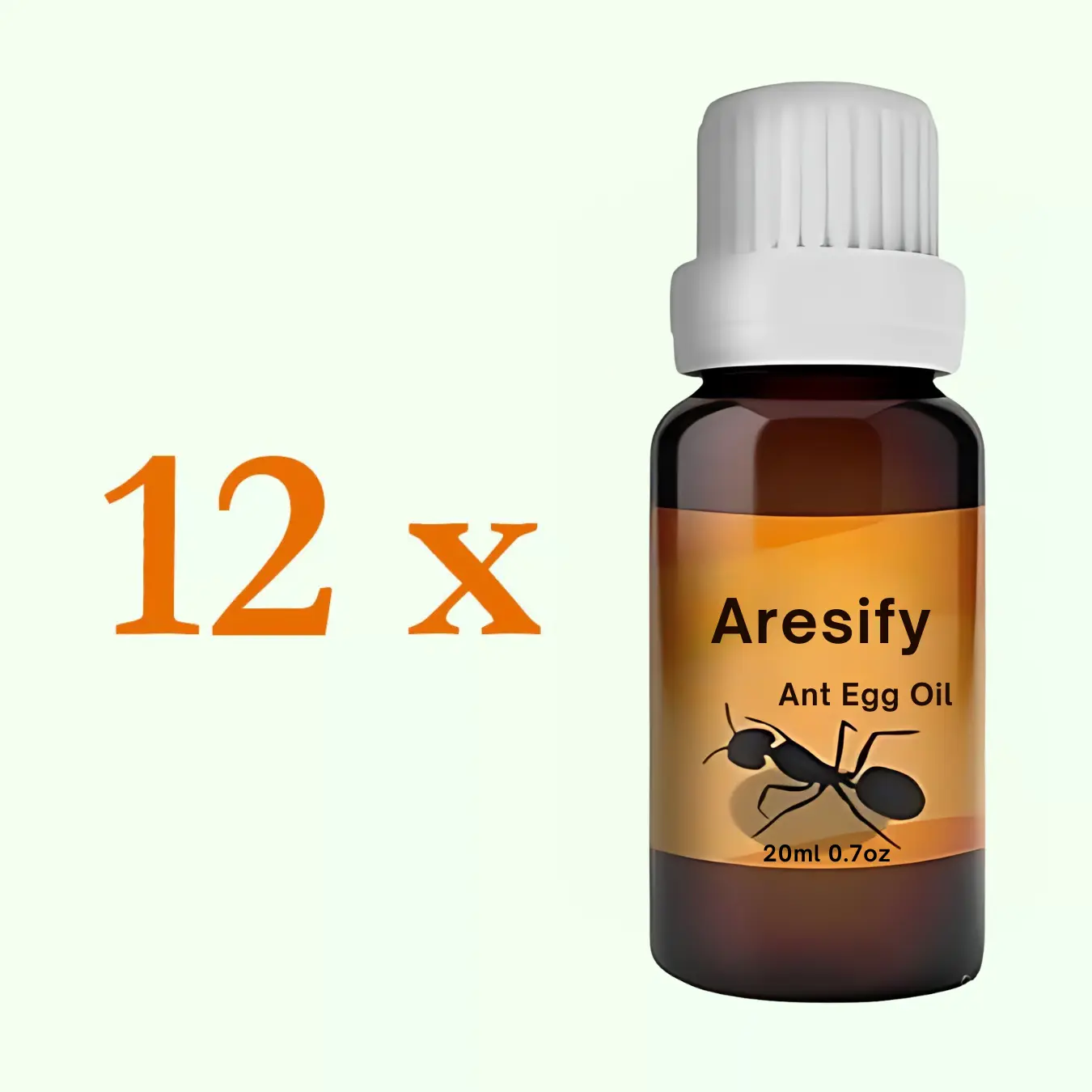 ANT EGG OIL - Image 8