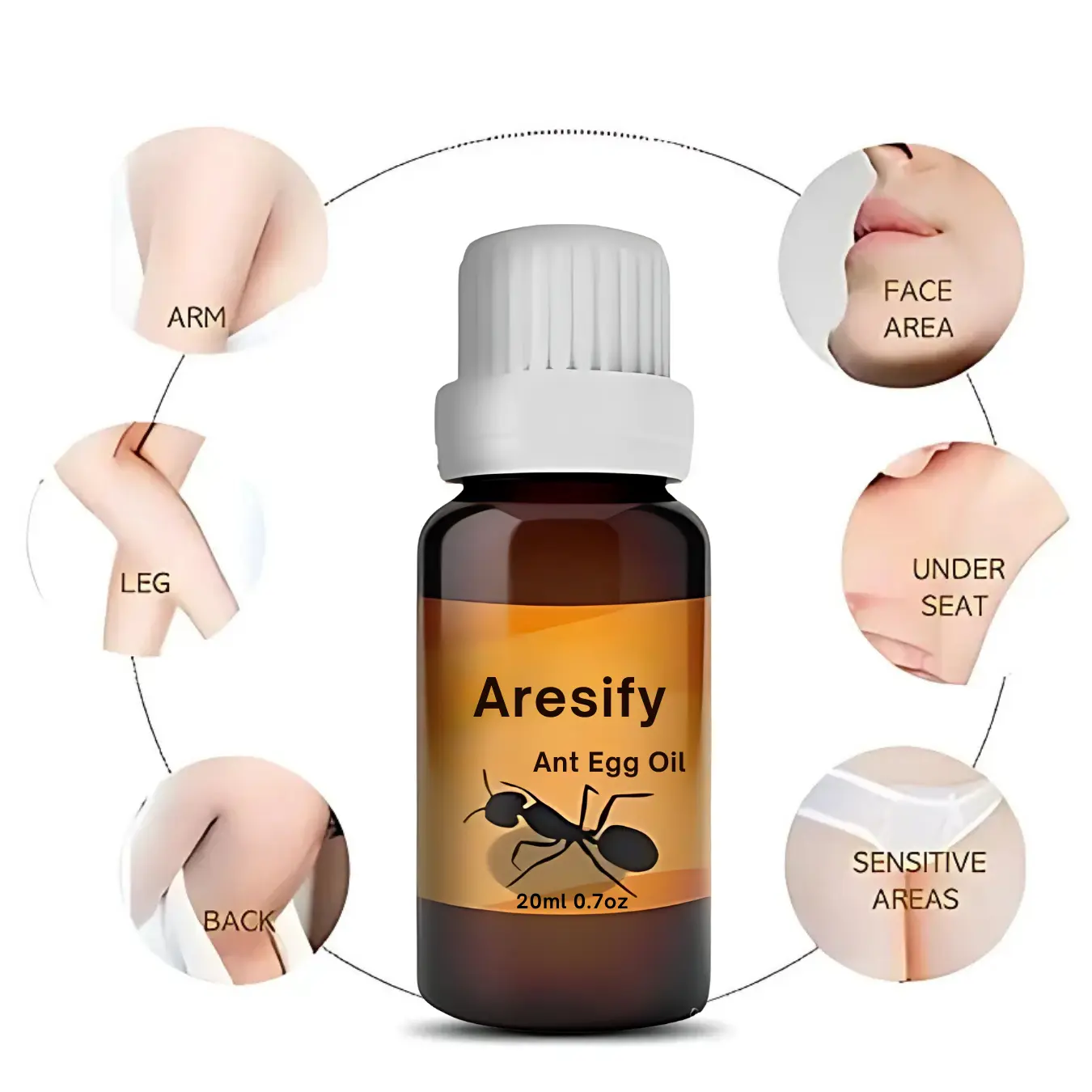 ANT EGG OIL - Image 9