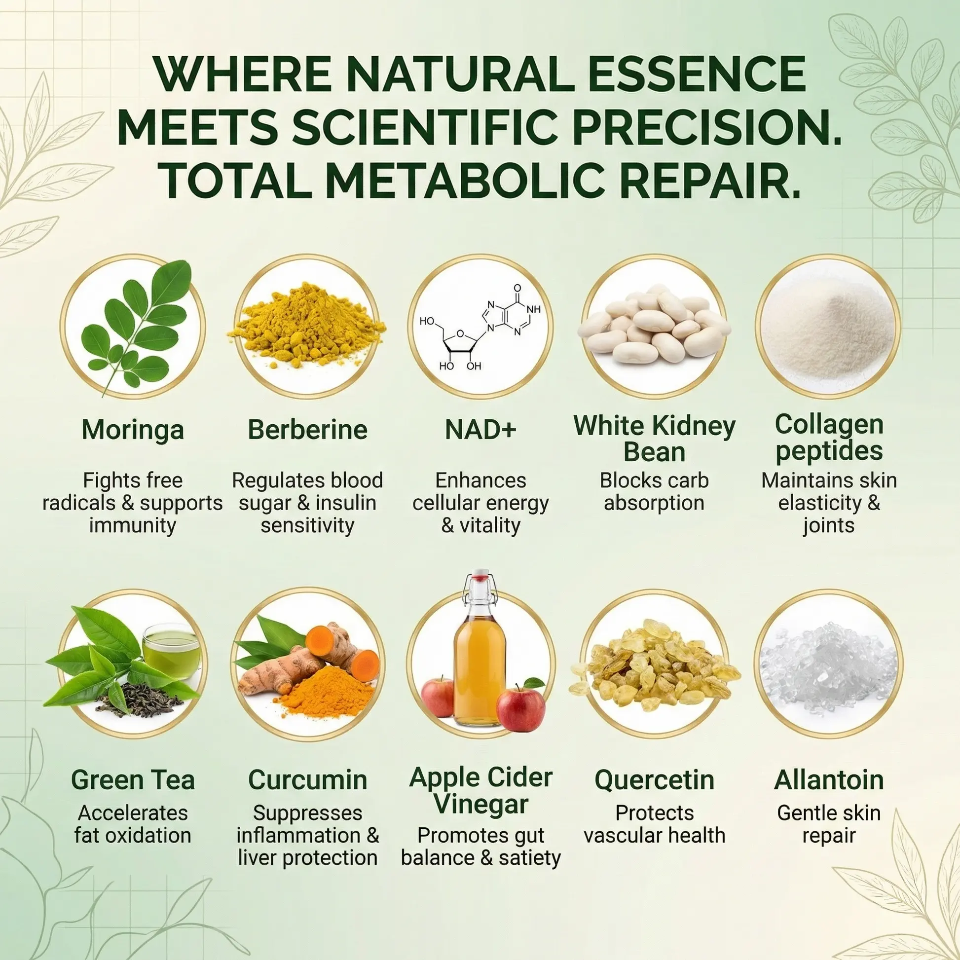 MORINGA BERBERINE & NDA+NMN Advanced Nano Microneedle Patch - Image 8