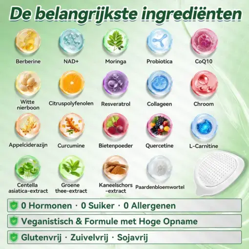 Moringa · Berberine + NAD+ – 12-in-1 Geavanceerde Nano Micronaald Patch - Image 6
