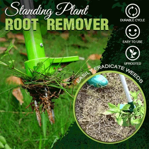 ( 50% OFF ) Root Remover Tool - Image 7