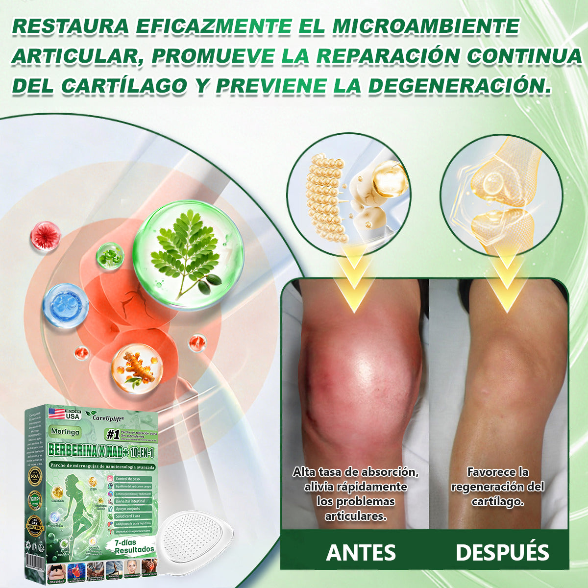 🇺🇸 Tienda Oficial | Moringa · Berberina × NAD+ 10-en-1 Advanced Nano Microneedle Patch - Image 3