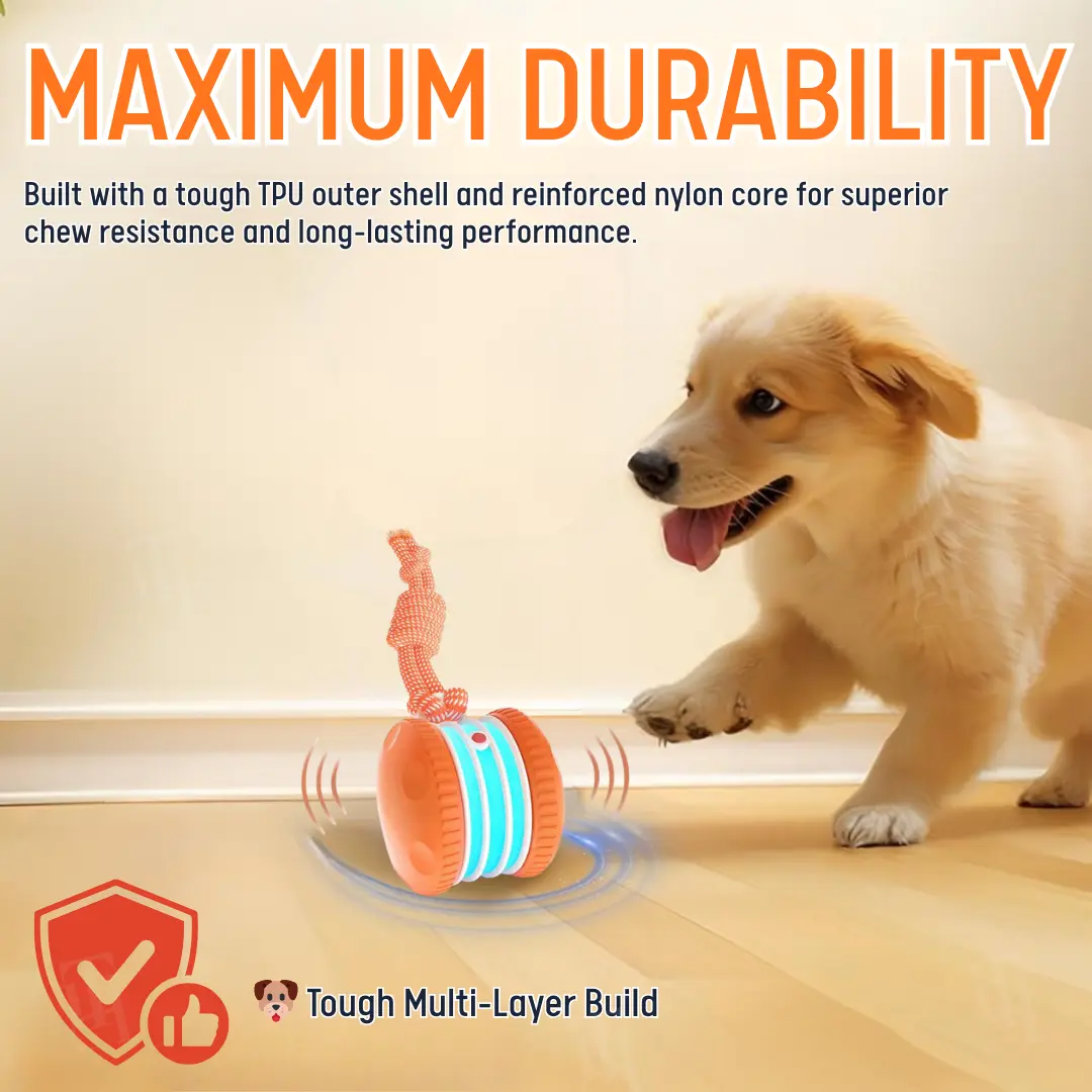 No More Guilty Entertains Your Pup 24/7. - Image 3