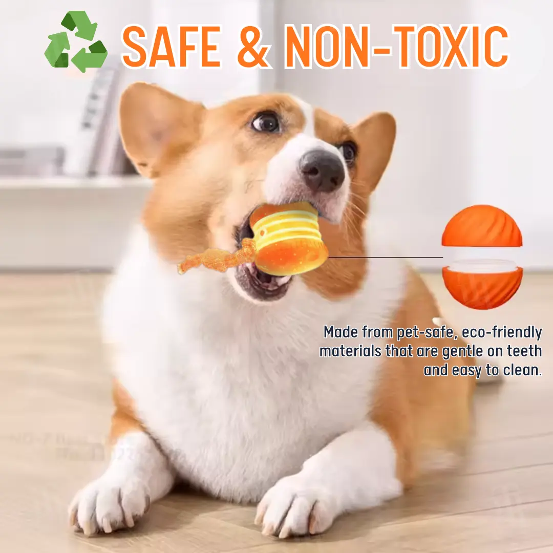 Interactive Moving Dog Ball - Image 4
