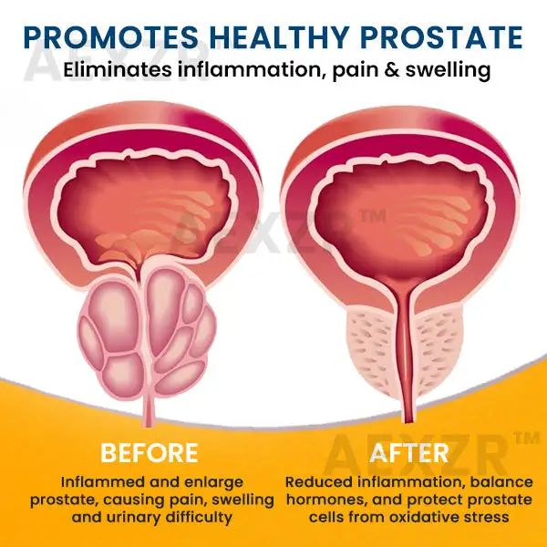 Prostate Care Patch - Image 5