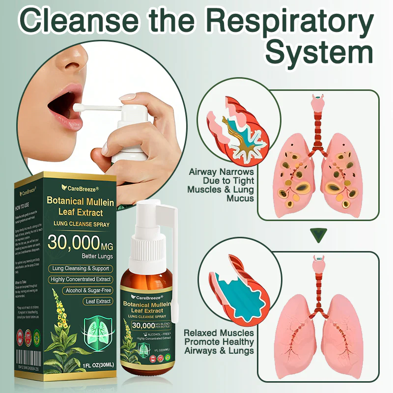 Botanical Mullein Leaf Extract Lung Cleanse Spray - Image 4