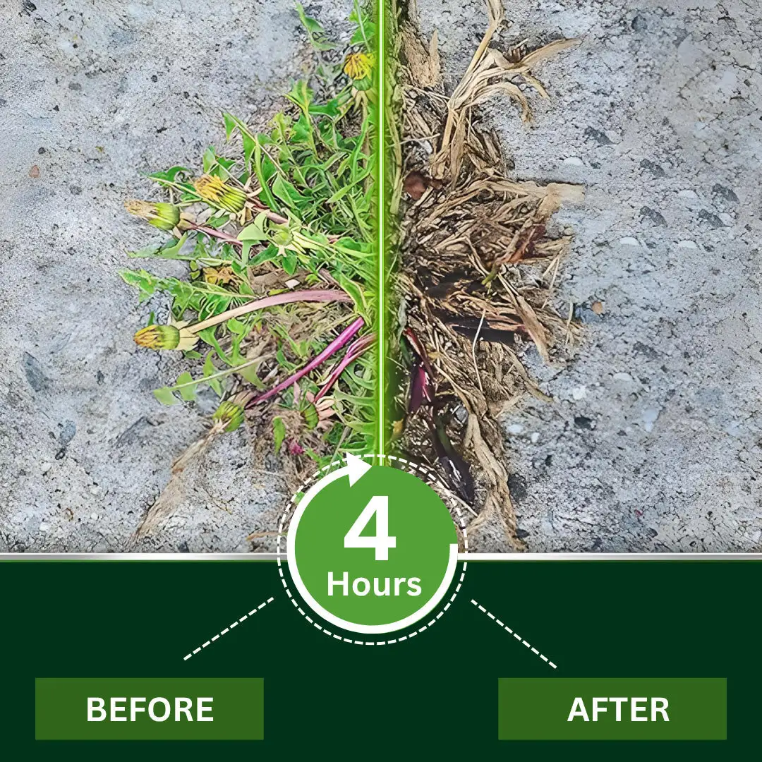 2-in-1 Weed Killer | Same-Day Results & Kills Roundup-Resistant Weeds - Image 5