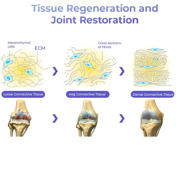Pro PainRelief Restorative Joint Spray - Image 4
