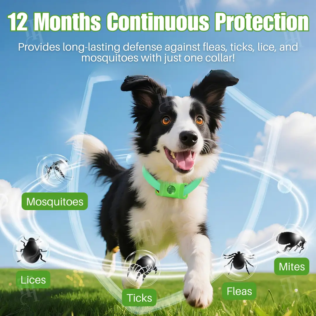 12-Month Natural Prevention Collar - Image 3