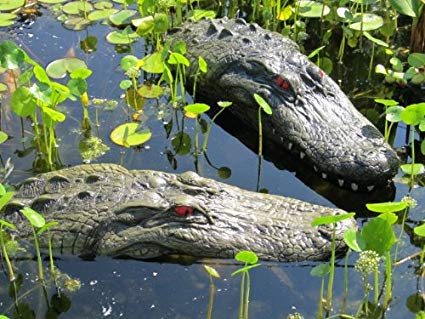 PRANK – REMOTE CONTROLLED ALLIGATOR - Image 10