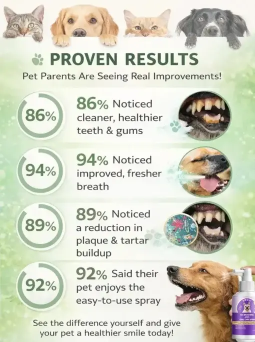 No-Brushing Oral Care Spray for Dogs & Cats - Image 4