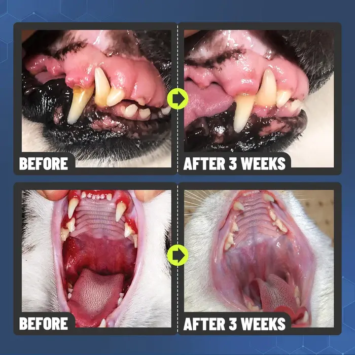 Teeth Cleaning Spray for Dogs & Cats - Image 3