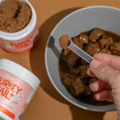 Turkey Tail Mushroom + Probiotic Formula - Image 3