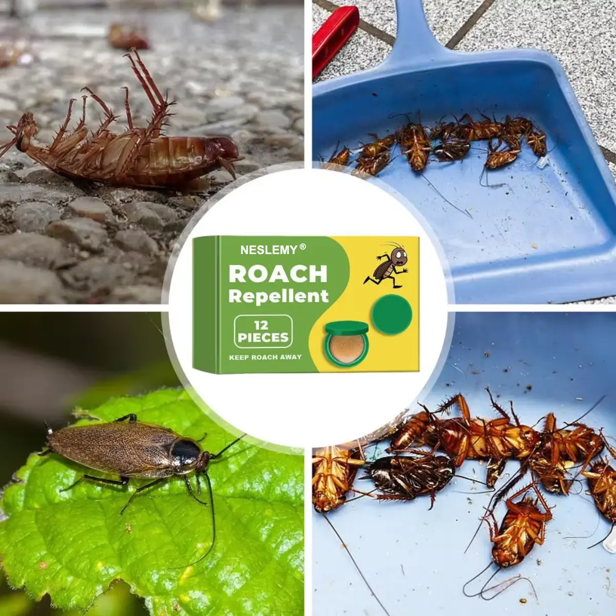 Plant-Powered Roach Repellent - Image 2