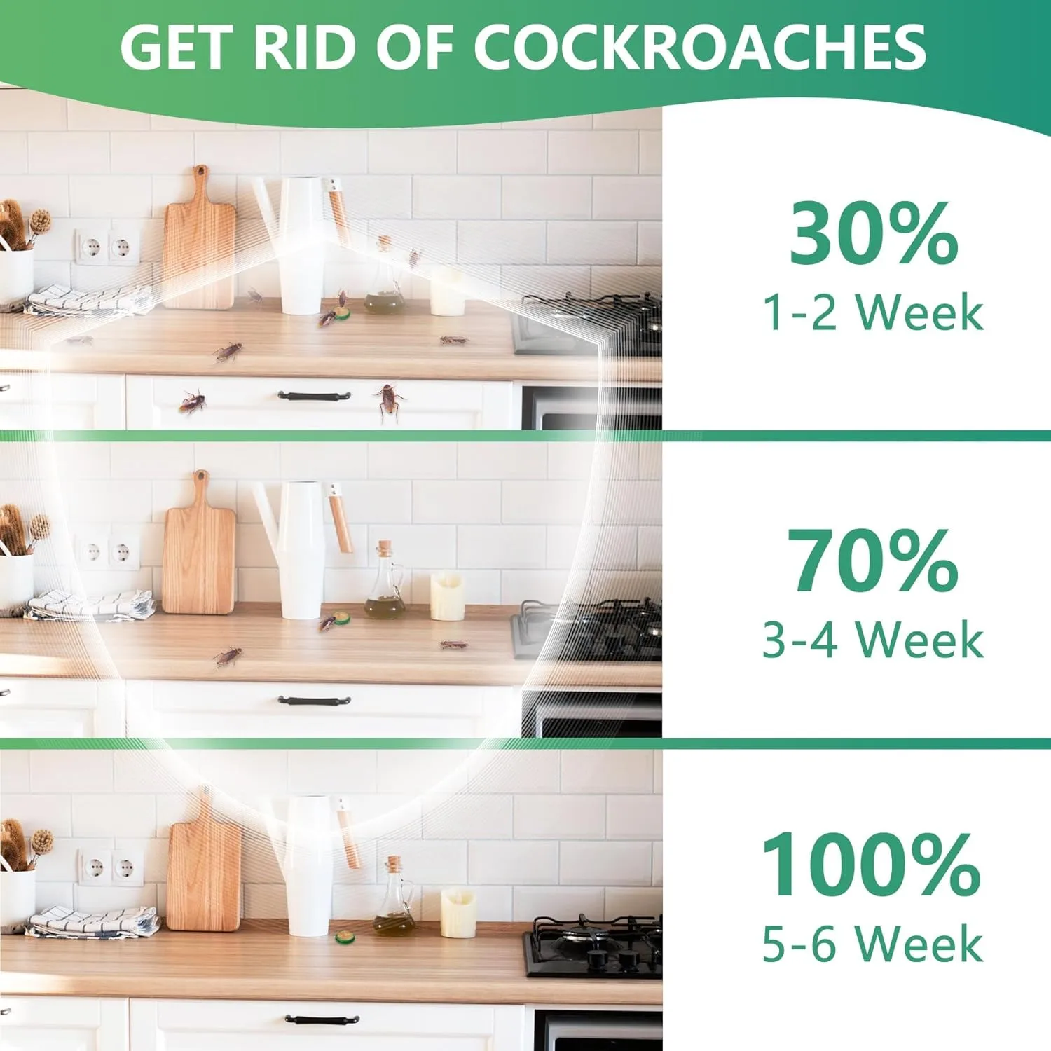 Plant-Powered Roach Repellent - Image 3