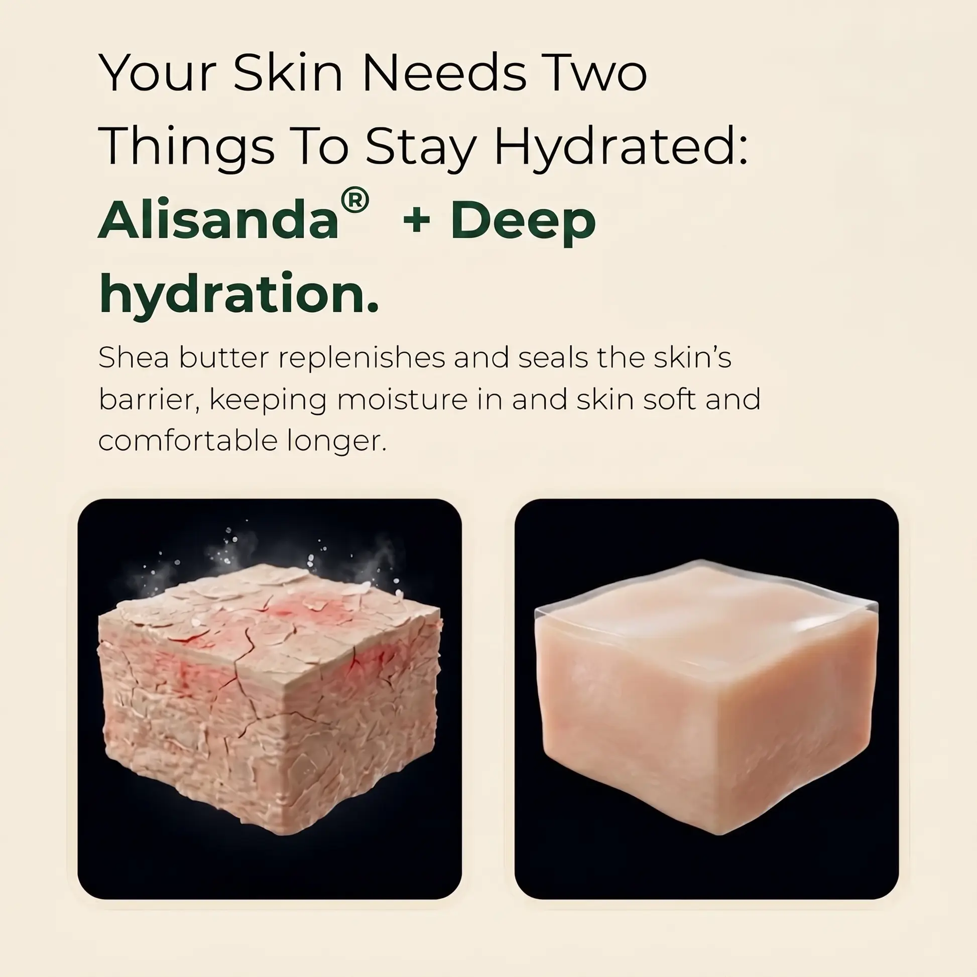 Pure Nilotica Shea Butter by - Image 2