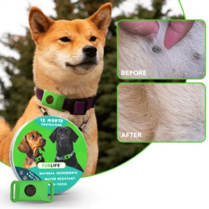12 Months Flea and Tick Free
