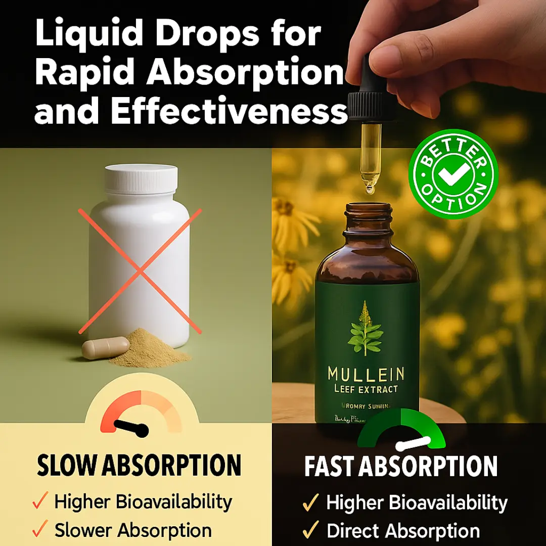 VOLT Mullein Leaf Drops Lung Cleanse & Support - Image 6