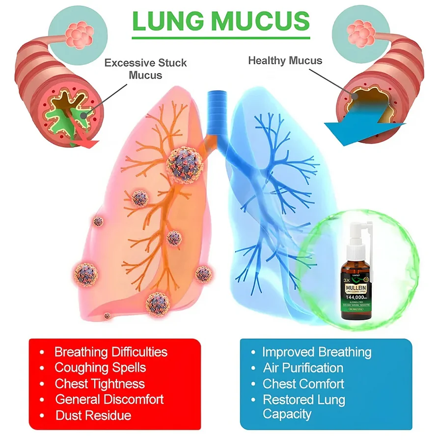 3X Concentrated Mullein Lung Cleanse Spray - Image 2