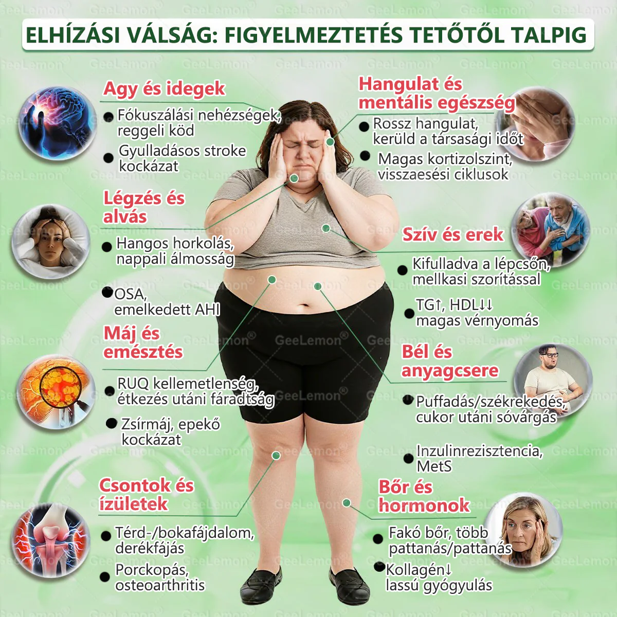 Nano mikrotűs karcsúsító tapasz - Image 2