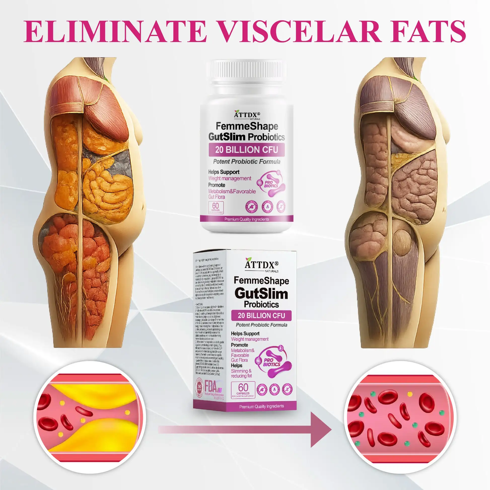 FemmeShape GutSlim Probiotics - Image 4