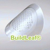 Nano-Microneedle Patch with Collagen - Image 13