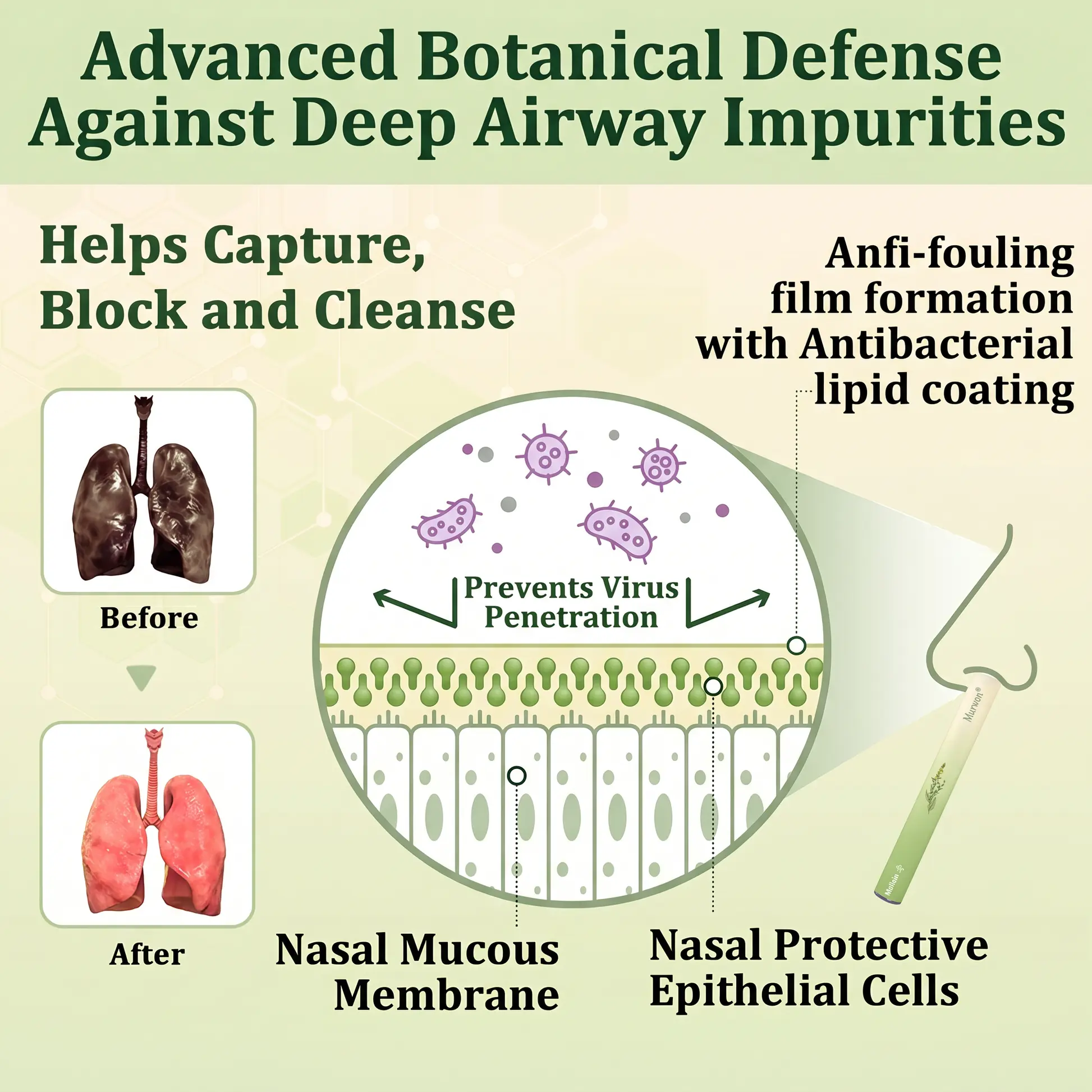 Botanical Mullein Lung Cleanse - Natural Breathing Support - Image 7