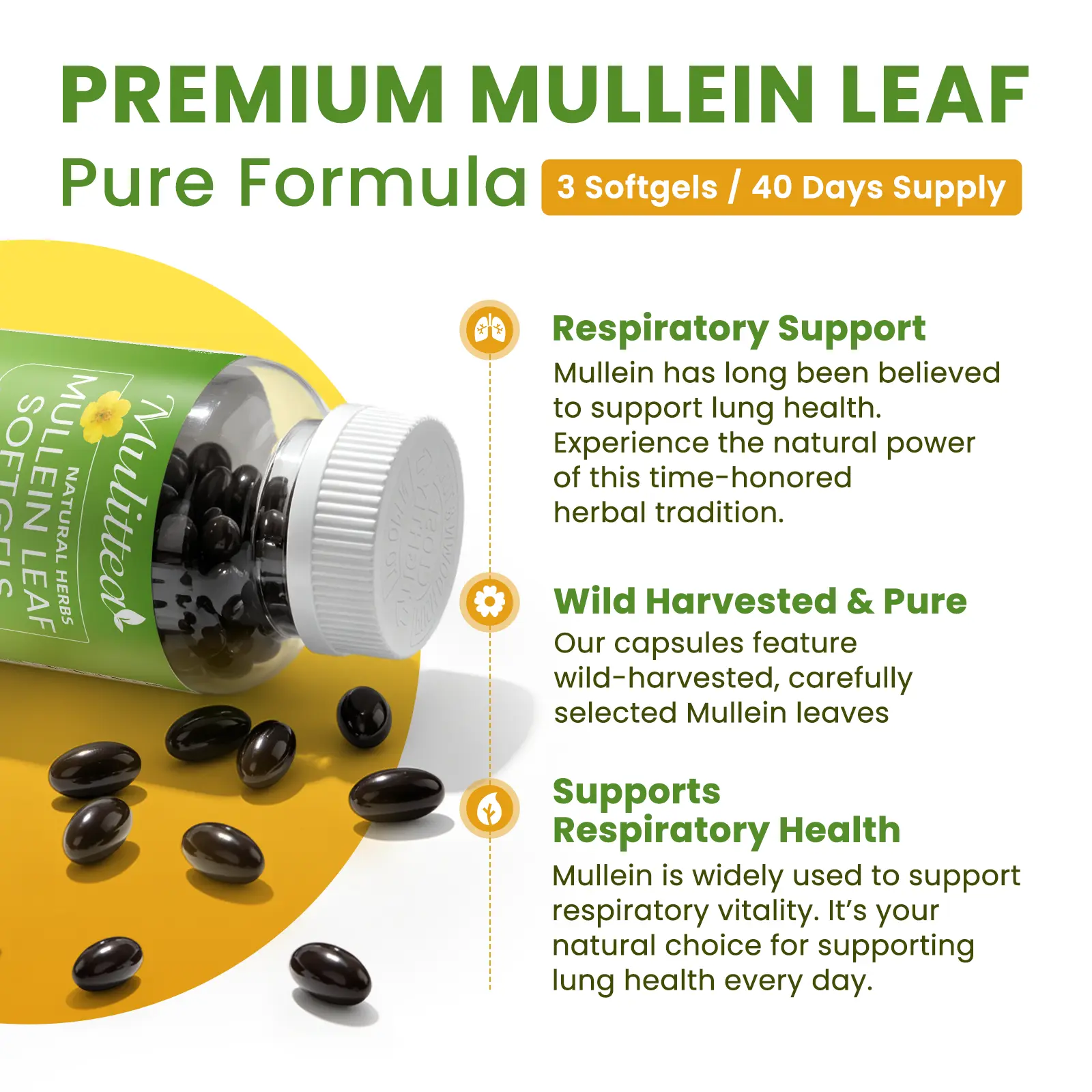 Mullein Leaf Softgels - Image 3