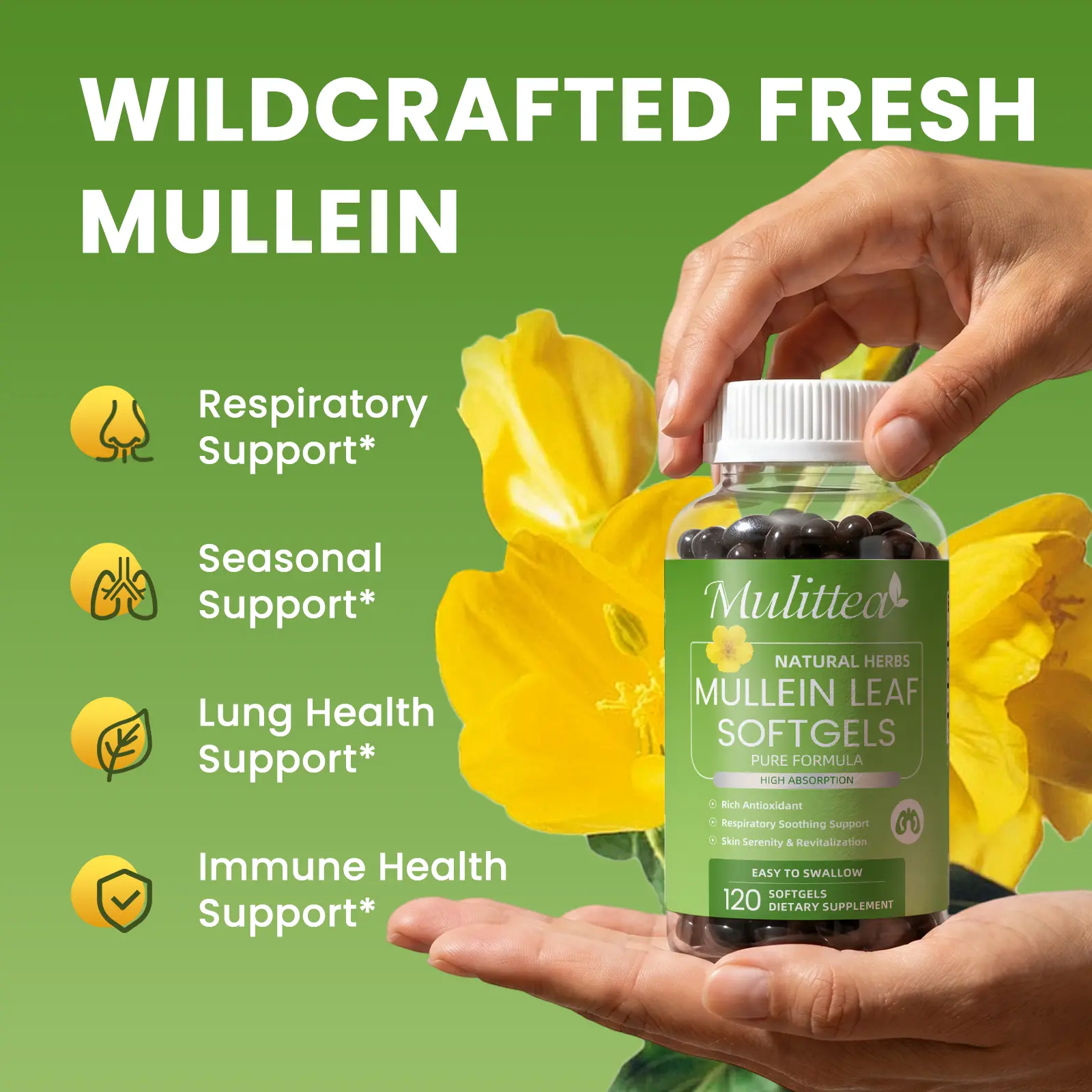 Mullein Leaf Softgels - Image 4