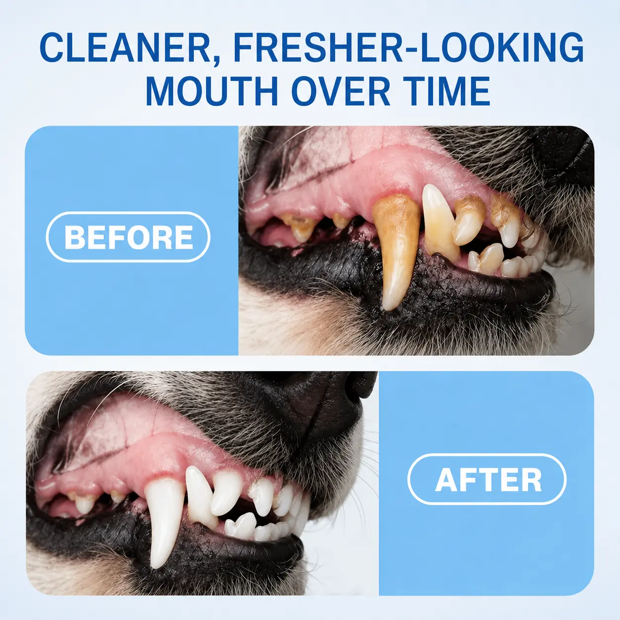 Pet Oral Spray Fresher Breath & Daily Oral Care - Image 6