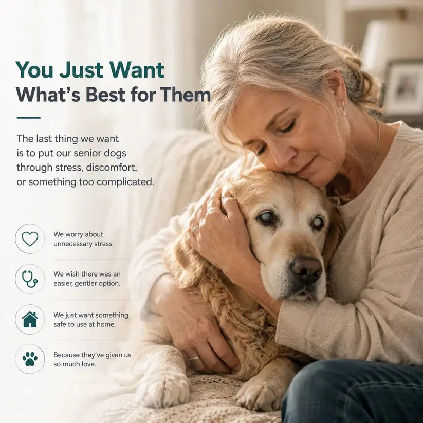 Pet Lutein Eye Care Spray - Image 17